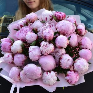 Розовые пионы