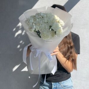 Букет из 19 белоснежных диантусов