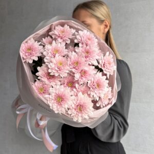 Нежно розовая хризантема